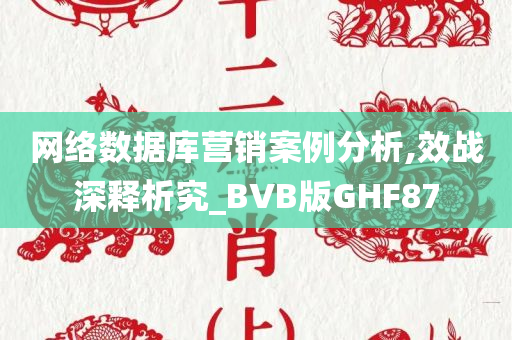 网络数据库营销案例分析,效战深释析究_BVB版GHF87