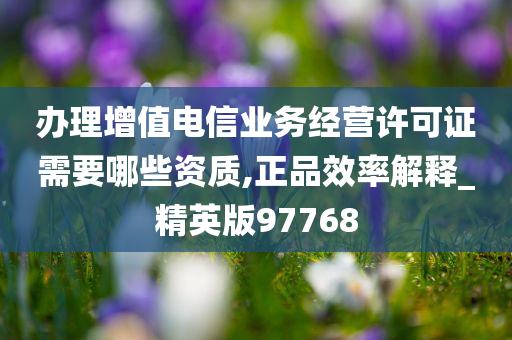 办理增值电信业务经营许可证需要哪些资质,正品效率解释_精英版97768