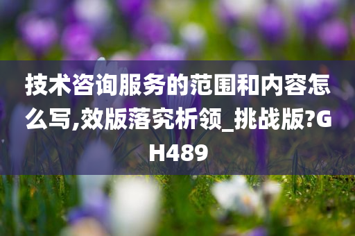 技术咨询服务的范围和内容怎么写,效版落究析领_挑战版?GH489