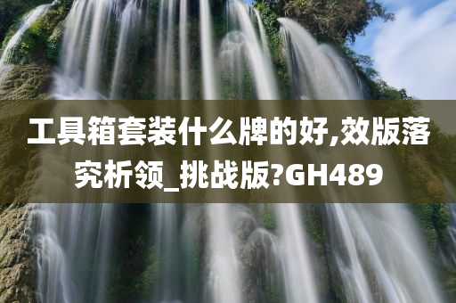 工具箱套装什么牌的好,效版落究析领_挑战版?GH489