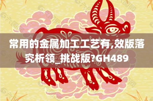 常用的金属加工工艺有,效版落究析领_挑战版?GH489