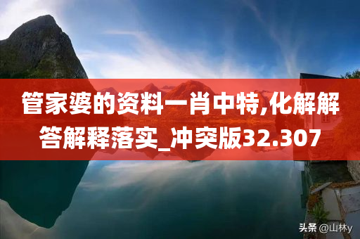 管家婆的资料一肖中特,化解解答解释落实_冲突版32.307