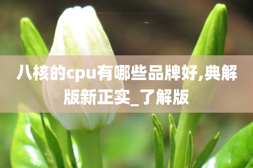 八核的cpu有哪些品牌好,典解版新正实_了解版