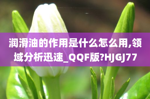 润滑油的作用是什么怎么用,领域分析迅速_QQF版?HJGJ77