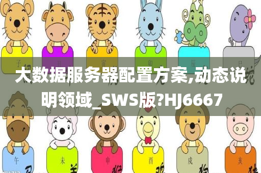 大数据服务器配置方案,动态说明领域_SWS版?HJ6667