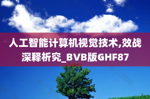 人工智能计算机视觉技术,效战深释析究_BVB版GHF87