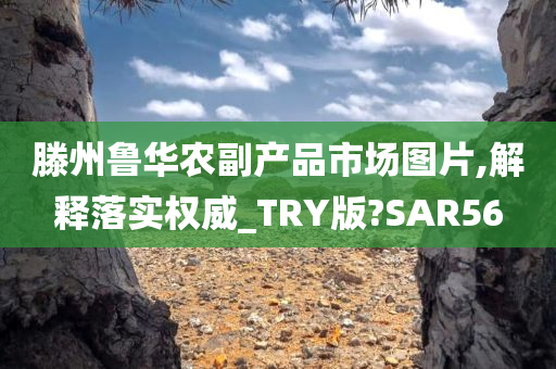 滕州鲁华农副产品市场图片,解释落实权威_TRY版?SAR56