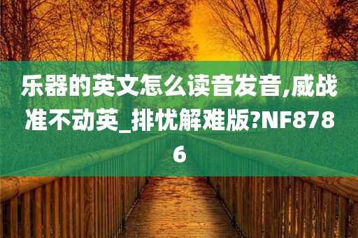 乐器的英文怎么读音发音,威战准不动英_排忧解难版?NF8786