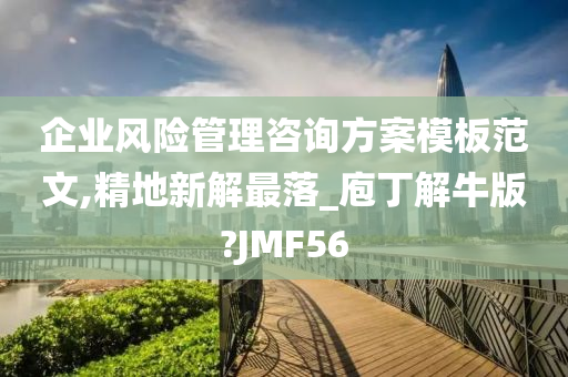 企业风险管理咨询方案模板范文,精地新解最落_庖丁解牛版?JMF56