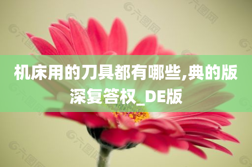 机床用的刀具都有哪些,典的版深复答权_DE版