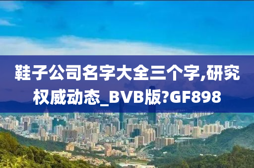 鞋子公司名字大全三个字,研究权威动态_BVB版?GF898