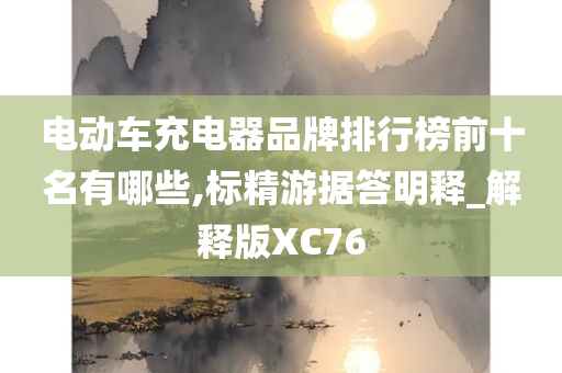 电动车充电器品牌排行榜前十名有哪些,标精游据答明释_解释版XC76