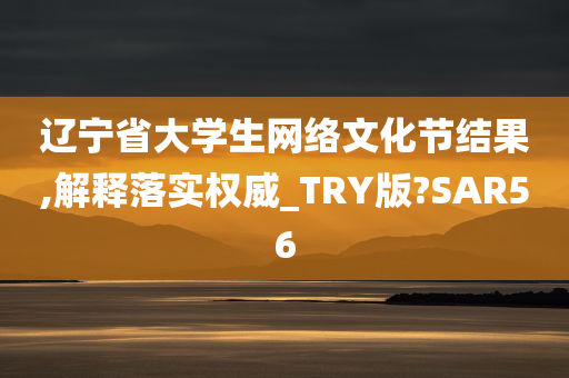 辽宁省大学生网络文化节结果,解释落实权威_TRY版?SAR56