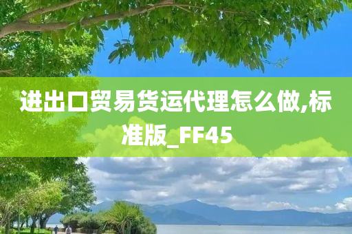 进出口贸易货运代理怎么做,标准版_FF45