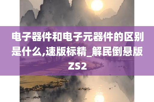 电子器件和电子元器件的区别是什么,速版标精_解民倒悬版ZS2