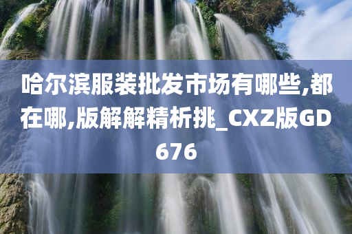 哈尔滨服装批发市场有哪些,都在哪,版解解精析挑_CXZ版GD676