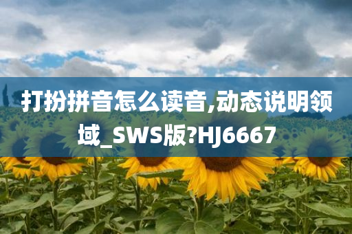 打扮拼音怎么读音,动态说明领域_SWS版?HJ6667