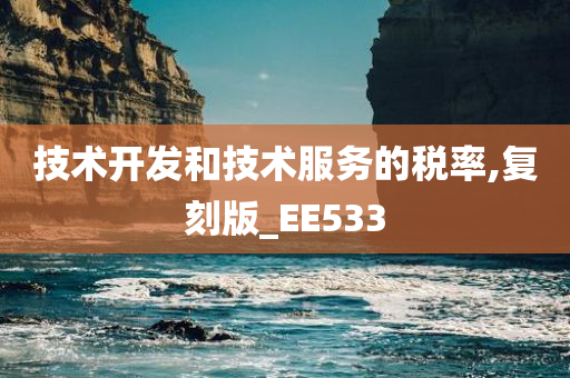 技术开发和技术服务的税率,复刻版_EE533