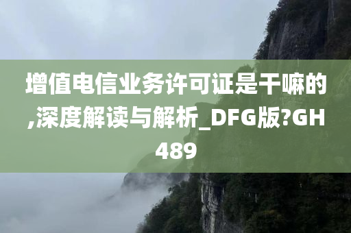 增值电信业务许可证是干嘛的,深度解读与解析_DFG版?GH489