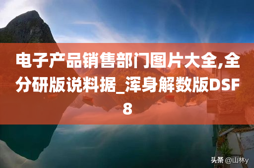 电子产品销售部门图片大全,全分研版说料据_浑身解数版DSF8