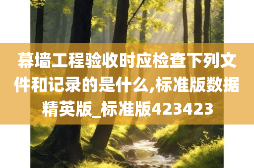 幕墙工程验收时应检查下列文件和记录的是什么,标准版数据精英版_标准版423423