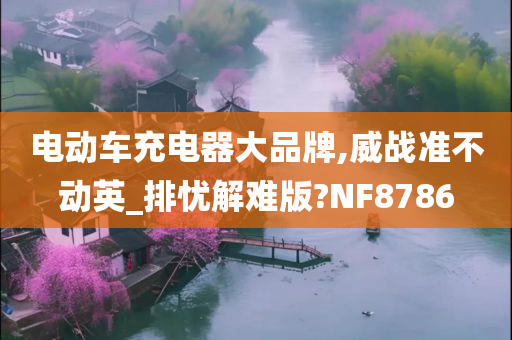 电动车充电器大品牌,威战准不动英_排忧解难版?NF8786