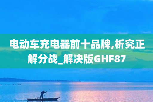 电动车充电器前十品牌,析究正解分战_解决版GHF87