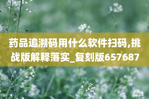 药品追溯码用什么软件扫码,挑战版解释落实_复刻版657687