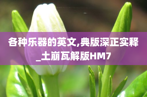 各种乐器的英文,典版深正实释_土崩瓦解版HM7