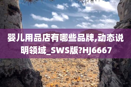 婴儿用品店有哪些品牌,动态说明领域_SWS版?HJ6667