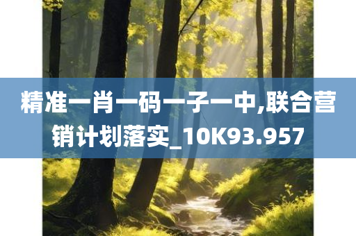 精准一肖一码一子一中,联合营销计划落实_10K93.957