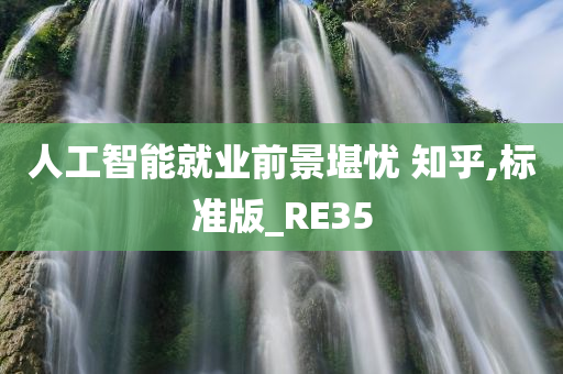 人工智能就业前景堪忧 知乎,标准版_RE35