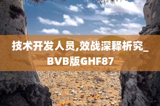 技术开发人员,效战深释析究_BVB版GHF87