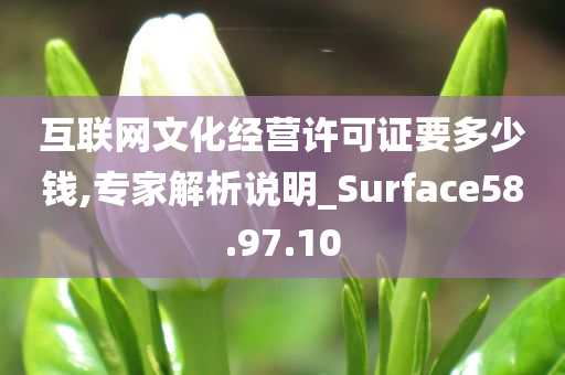 互联网文化经营许可证要多少钱,专家解析说明_Surface58.97.10