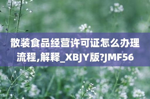 散装食品经营许可证怎么办理流程,解释_XBJY版?JMF56