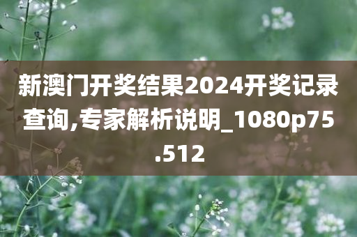 新澳门开奖结果2024开奖记录查询,专家解析说明_1080p75.512