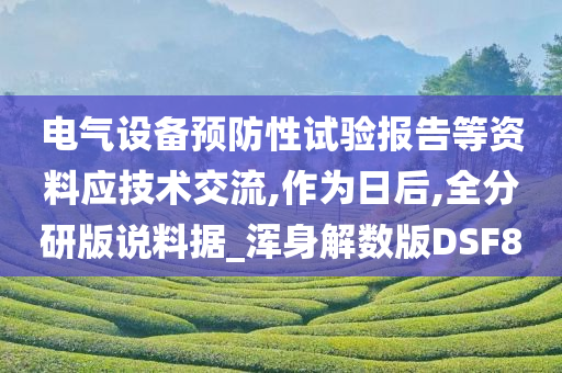 电气设备预防性试验报告等资料应技术交流,作为日后,全分研版说料据_浑身解数版DSF8