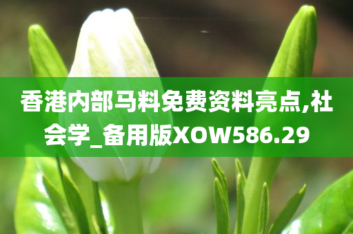 香港内部马料免费资料亮点,社会学_备用版XOW586.29