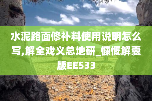 水泥路面修补料使用说明怎么写,解全戏义总地研_慷慨解囊版EE533