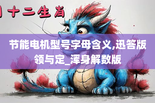 节能电机型号字母含义,迅答版领与定_浑身解数版