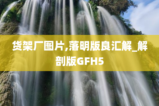 货架厂图片,落明版良汇解_解剖版GFH5