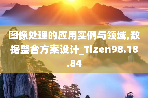 图像处理的应用实例与领域,数据整合方案设计_Tizen98.18.84