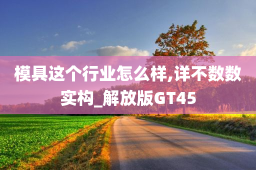 模具这个行业怎么样,详不数数实构_解放版GT45