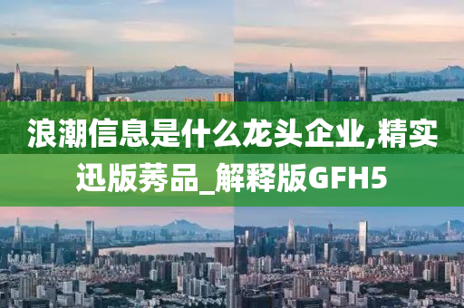 浪潮信息是什么龙头企业,精实迅版莠品_解释版GFH5