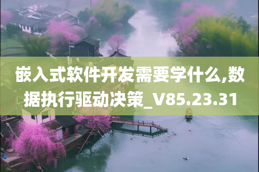 嵌入式软件开发需要学什么,数据执行驱动决策_V85.23.31