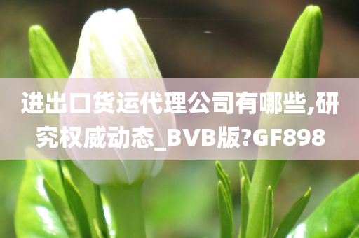 进出口货运代理公司有哪些,研究权威动态_BVB版?GF898