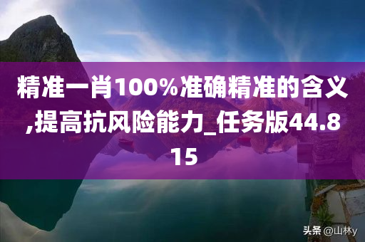 精准一肖100%准确精准的含义,提高抗风险能力_任务版44.815