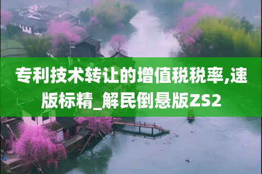 专利技术转让的增值税税率,速版标精_解民倒悬版ZS2