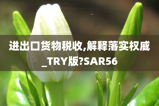 进出口货物税收,解释落实权威_TRY版?SAR56