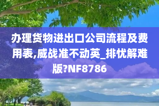 办理货物进出口公司流程及费用表,威战准不动英_排忧解难版?NF8786